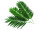 EUROPALMS Coconut palm branch, artificial, 90cm 12x