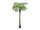 EUROPALMS Phönixpalme luxor, Kunstpflanze, 300cm