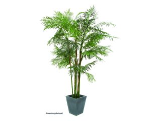 EUROPALMS Cycasrohr Palme, Kunstpflanze, 280cm