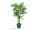 EUROPALMS Cycasrohr Palme, Kunstpflanze, 280cm