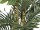 EUROPALMS Kentia Palme, Kunstpflanze, 140cm