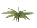 EUROPALMS Königsfarn,Kunstpflanze,  grün, 70cm