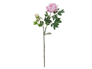 EUROPALMS Pfingstrosenzweig Premium, Kunstpflanze, pink, 100cm