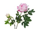 EUROPALMS Pfingstrosenzweig Premium, Kunstpflanze, pink, 100cm