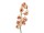 EUROPALMS Cymbidiumzweig, künstlich, creme-pink, 90cm