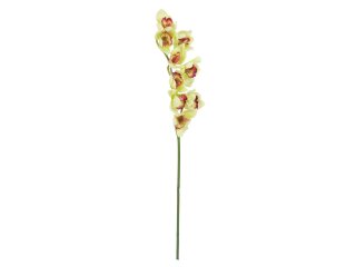 EUROPALMS Cymbidium branch, artificial, green, 90cm