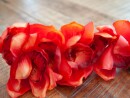 EUROPALMS Cymbidium branch, artificial, red, 90cm