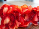EUROPALMS Cymbidium branch, artificial, red, 90cm