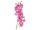 EUROPALMS Orchideenzweig, künstlich, lila, 100cm
