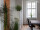 EUROPALMS Orchideenzweig, künstlich, creme-weiß, 100cm