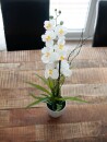 EUROPALMS Orchid Arrangement 1, artificial