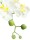EUROPALMS Orchid Arrangement 1, artificial