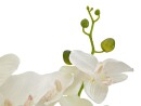 EUROPALMS Orchid, artificial plant, cream, 80cm