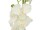 EUROPALMS Orchid, artificial plant, cream, 80cm
