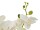 EUROPALMS Orchid, artificial plant, cream, 80cm