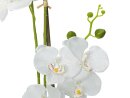 EUROPALMS Orchidee, Kunstpflanze, weiß, 80cm