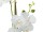 EUROPALMS Orchidee, Kunstpflanze, weiß, 80cm