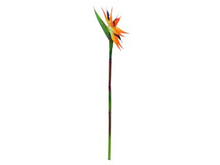 EUROPALMS Bird-of-paradise Spray, artificial plant, orange, 95cm
