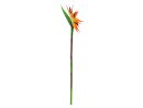 EUROPALMS Paradiesvogel-Blume, Kunstpflanze, orange, 95cm