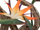 EUROPALMS Bird-of-paradise Spray, artificial plant, orange, 95cm