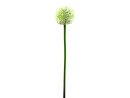 EUROPALMS Alliumzweig, künstlich, cremefarben, 55cm
