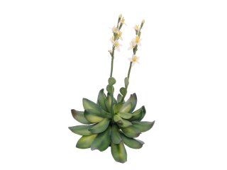 EUROPALMS Houseleeks (EVA), artificial plant, yellow, 32cm