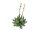 EUROPALMS Houseleeks (EVA), artificial plant, yellow, 32cm