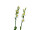 EUROPALMS Houseleeks (EVA), artificial plant, yellow, 32cm