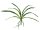 EUROPALMS Orchid leaf (EVA), arificial, green, 45cm