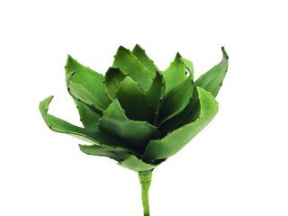 EUROPALMS Agave (EVA), artificial, green, 35cm
