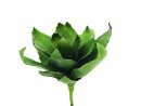 EUROPALMS Agave (EVA), artificial, green, 35cm