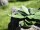 EUROPALMS Agave (EVA), artificial, green, 35cm