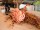 EUROPALMS Dahlias Branch (EVA), artificial, orange