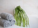 EUROPALMS Sea grass (EVA), artificial, green