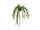 EUROPALMS Sea grass (EVA), artificial, green