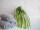 EUROPALMS Sea grass (EVA), artificial, green
