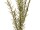 EUROPALMS Rosemary Twig (EVA), artificial, green