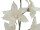 EUROPALMS Clematis Branch (EVA), artificial, white