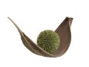 EUROPALMS Succulent Ball (EVA), artificial plant, green,...