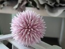 EUROPALMS Succulent Ball (EVA),artificial plant, pink, 20cm