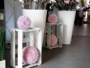 EUROPALMS Succulent Ball (EVA),artificial plant, pink, 20cm