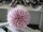 EUROPALMS Succulent Ball (EVA),artificial plant, pink, 20cm