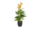 EUROPALMS Calla mini, Kunstpflanze, gelb orange, 43cm