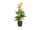 EUROPALMS Mini Calla, artificial plant, yellow-orange, 43cm