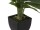 EUROPALMS Mini Calla, artificial plant, yellow-orange, 43cm
