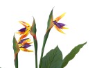 EUROPALMS Bird-of-paradise Flower, artificial plant, 90cm
