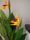 EUROPALMS Bird-of-paradise Flower, artificial plant, 90cm