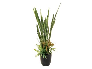 EUROPALMS Succulent-Mix, artificial plant, 190cm