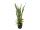 EUROPALMS Succulent-Mix, artificial plant, 190cm