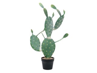 EUROPALMS Nopal cactus, artificial plant, 76cm